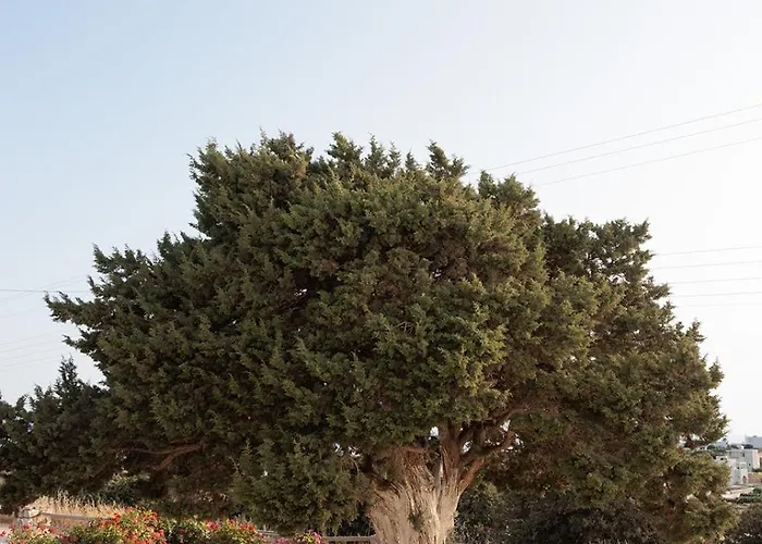 Aurea Blu 09 Sea, Sun, Pure Enjoyment Apartment